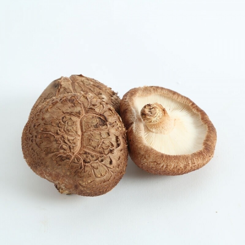 양양킹버섯,(양양킹버섯) 무농약 친환경 하급 생 표고버섯(1KG, 2KG, 3KG, 5KG, 10KG)